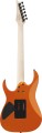rg460dxrom1.webp