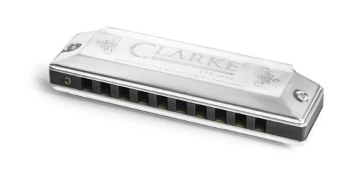 c silver clam.webp