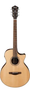 Ibanez AE275BT LGS Gitara Elektroakustyczna