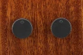 feat_AAM300CE_preamp.webp
