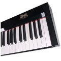 dnasp883.webp