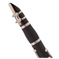 c17bb7.webp
