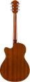 fa135cem1.webp