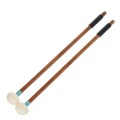 m1blau1.webp