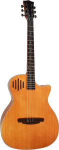 Gitara Akustyczna - Sqoe SQ J