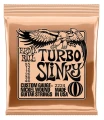 ErnieBall2224.webp