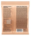 ErnieBall2224-3.webp