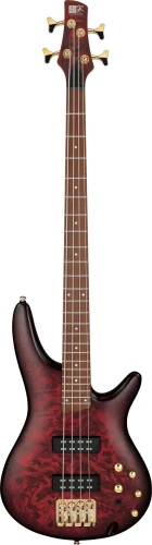 SR300EDXWZM.webp