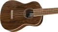 ZumaConcertUkulele2.webp