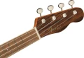ZumaConcertUkulele3.webp