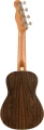 ZumaConcertUkulele1.webp