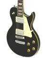 PE350STDAGBK1.webp