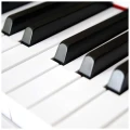 v-tone-bl8808wh5.webp
