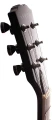 lp22nbrwg2.webp