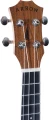 MH10SAPELE1.webp