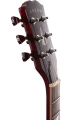 sg221.webp