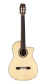 fusion12naturalcd.webp