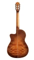 Fusion-12-Cinnamon-Burst1.webp