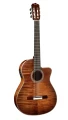 Fusion-12-Cinnamon-Burst.webp