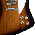 firebird4.webp