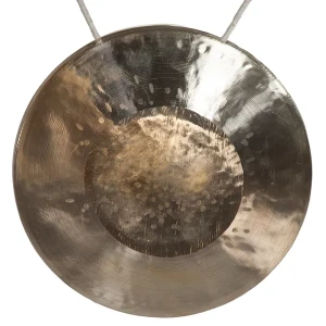 Asian Sound SHG H Opera Gong