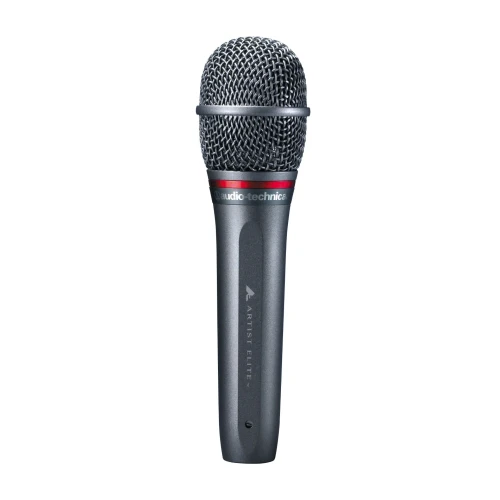 ae6100.webp