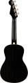 avalontenor1.webp