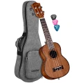 HH-20262.webp