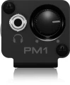 pm13.webp
