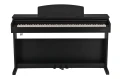 DP510 Blk2.webp