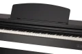 DP510 Blk4.webp