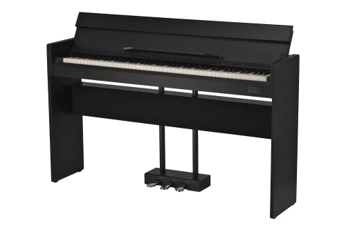 CP510 Blk1.webp