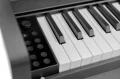 CP510 Blk25.webp