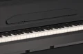 CP510 Blk4.webp