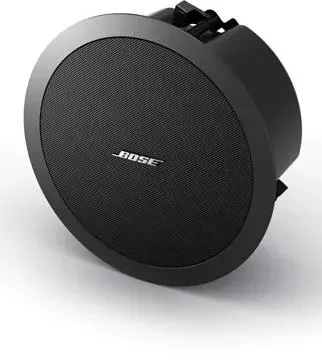 i-bose-freespace-ds-40f-8-ohm.webp