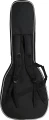 gig_bag_back_11zon.webp