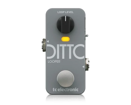 Image_TE_0709-ALV_DITTO-2-LOOPER_Media-Top-2.webp