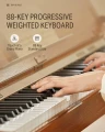 DDP-80_PLUS-1.webp