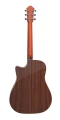 Furch-Green-Plus-Dc-SR-back_11zon.webp