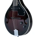 bt-icon-a8e-br-2.webp