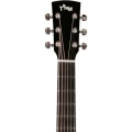 ty-tg5e-pro-7.webp