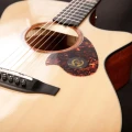 ty-tg5e-pro-3.webp