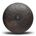 DMMRI_02.webp