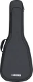 cb-ag10_main_gal_11zon.webp