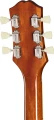 EIGLP5IGNH1_hs_back_11zon.webp