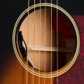 EIALSVSNH1_Soundhole.webp