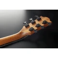 auditorium-cutaway-acoustic-electric_11zon (5).webp