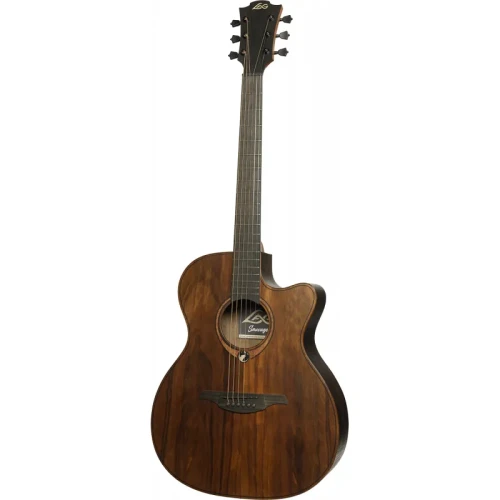 auditorium-cutaway-acoustic-electric_11zon (1).webp