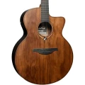 jumbo-acoustic-electric_11zon (9).webp