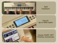 画板 17.webp